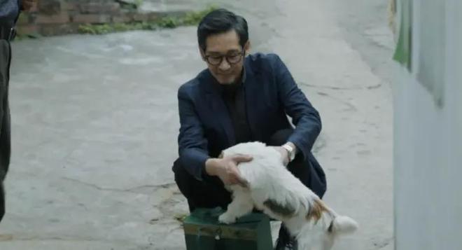 部刑侦剧：《猎罪图鉴2》第7名第1名没争议J9真人游戏第一品牌给2024年最好10(图14)